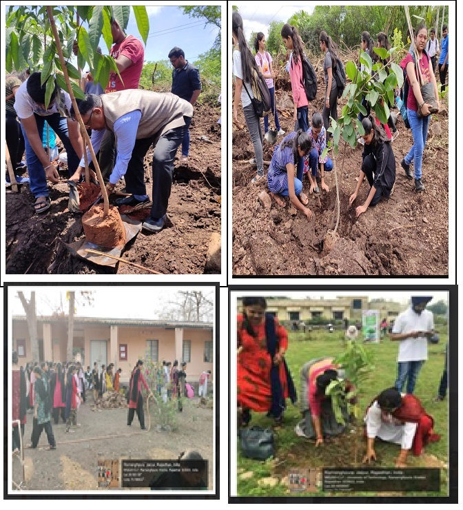 17_Tree Plantation Drive.jpg